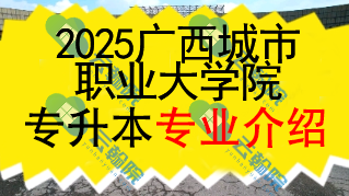 2025年广西城市职业大学专升本招生专业介绍