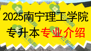 2025年南宁理工学院专升本招生专业介绍