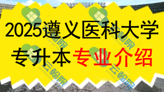 2025年遵义医科大学专升本招生专业介绍