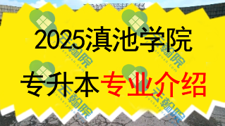 2025年滇池学院专升本招生专业介绍