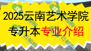 2025年云南艺术学院专升本招生专业介绍