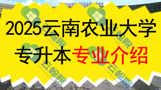 2025年云南农业大学专升本招生专业介绍