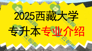 2025年西藏大学专升本招生专业介绍
