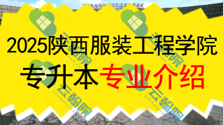 2025年陕西服装工程学院专升本招生专业介绍