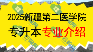 2025年新疆第二医学院专升本招生专业介绍