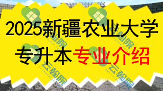 2025年新疆农业大学专升本招生专业介绍