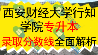 西安财经大学行知学院专升本近三年各专业录取分数线全面解析