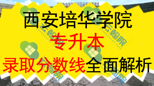 西安培华学院专升本2024年各专业录取分数线全面解析