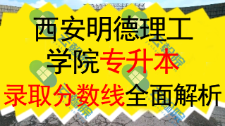 西安明德理工学院专升本2024年各专业录取分数线全面解析