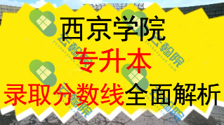 西京学院专升本2024年各专业录取分数线全面解析