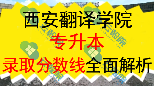 西安翻译学院专升本2024年各专业录取分数线全面解析
