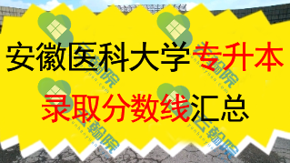 安徽医科大学专升本录取分数线汇总