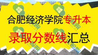 2025合肥经济学院专升本录取分数线解析