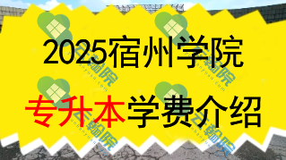 2025宿州学院专升本学费一年多少钱?