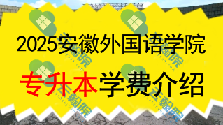 2025安徽外国语学院专升本学费一年多少钱?