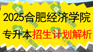 2025合肥经济学院专升本招生计划全面解析
