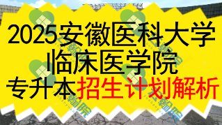 2025安徽医科大学临床医学院专升本招生计划全面解析
