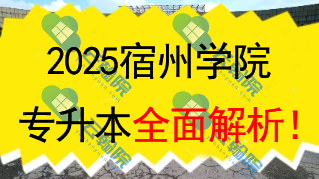 2025宿州学院(公办)专升本全面解析!