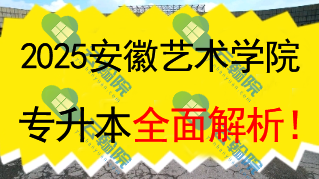 2025安徽艺术学院（公办）专升本全面解析！