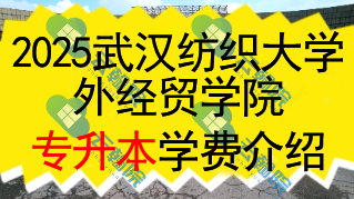 2025武汉纺织大学外经贸学院专升本学费一年多少钱？