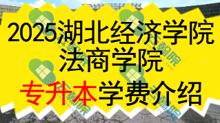 2025湖北经济学院法商学院专升本学费一年多少钱?