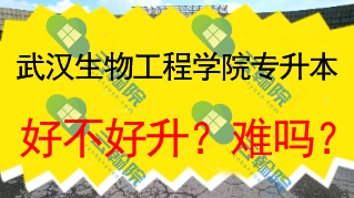 武汉生物工程学院专升本好不好升？难吗？