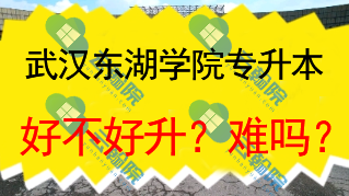 武汉东湖学院专升本好不好升？难吗？