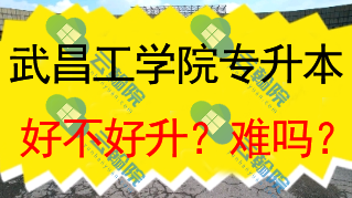 武昌工学院专升本好不好升？难吗？