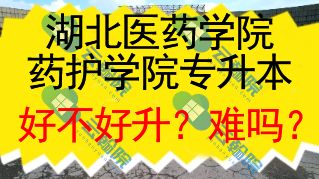 湖北医药学院药护学院专升本好不好升？难吗？