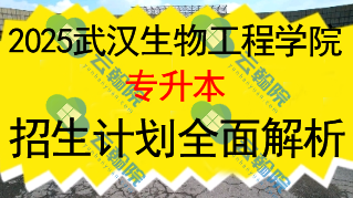 2025武汉生物工程学院专升本招生计划全面解析