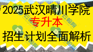 2025武汉晴川学院专升本招生计划全面解析
