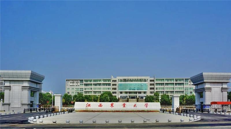 IMG_256