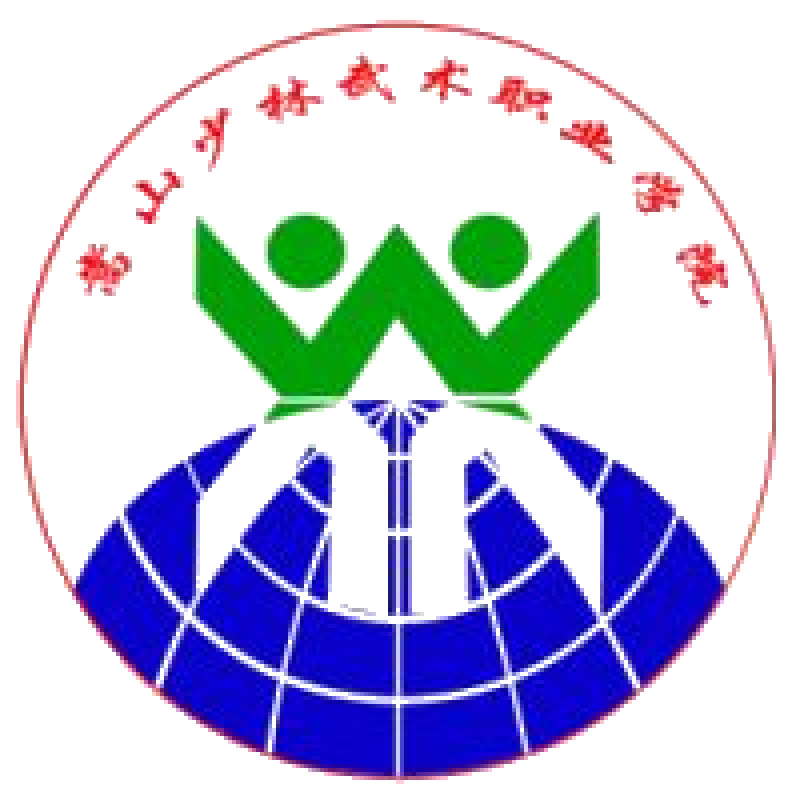 嵩山少林武术职业学院